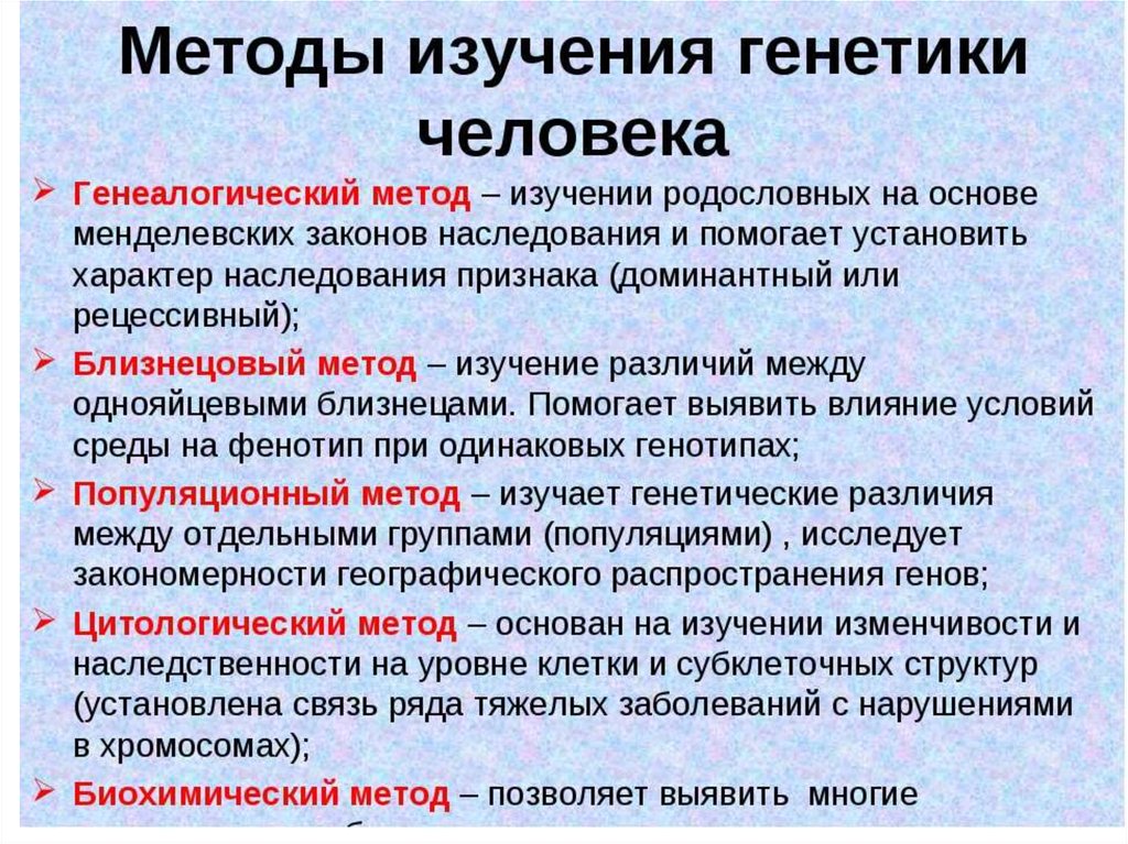 Методы исследования генетики человека 10 класс онлайн-подготовка на ростелеком лицей | тренажеры и разбор заданий