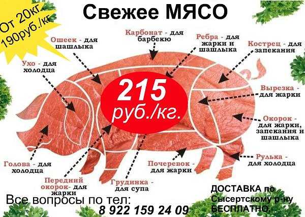 Мясо для борща: какое лучше, о чем помнить при выборе