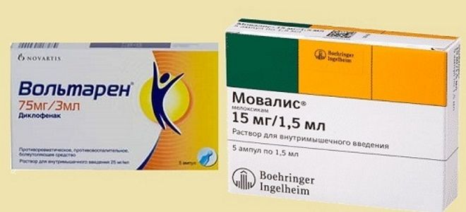 Мелоксикам и мовалис — какой препарат лучше взять?