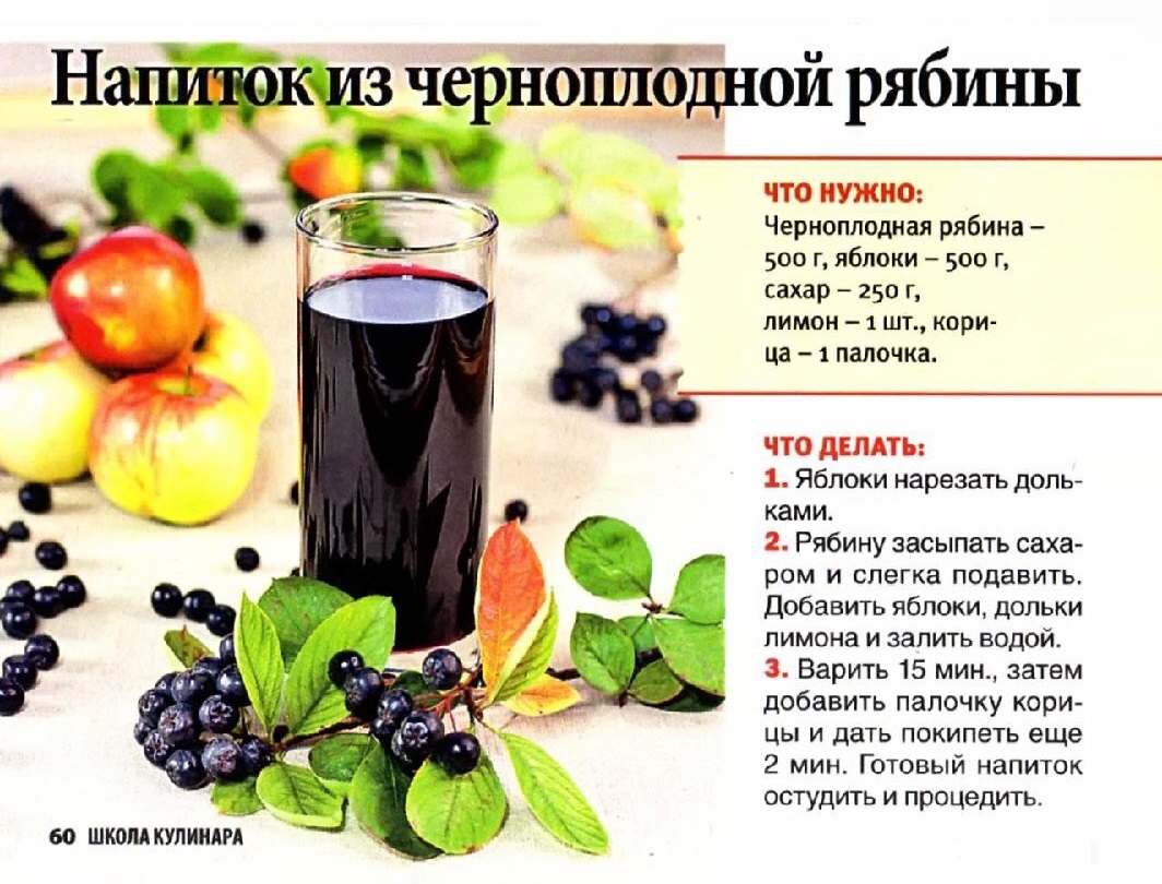 Сколько варить морс из рябины Как сделать рябиновый морс - способ и точное время