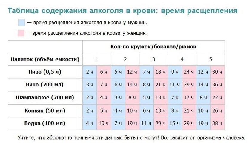 Сколько выветривается вино у женщин, мужчин и способы ускорения процесса