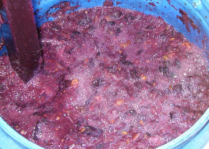 Рецепт чачи из винограда в домашних условиях: процесс приготовления классического напитка, выбор сырья