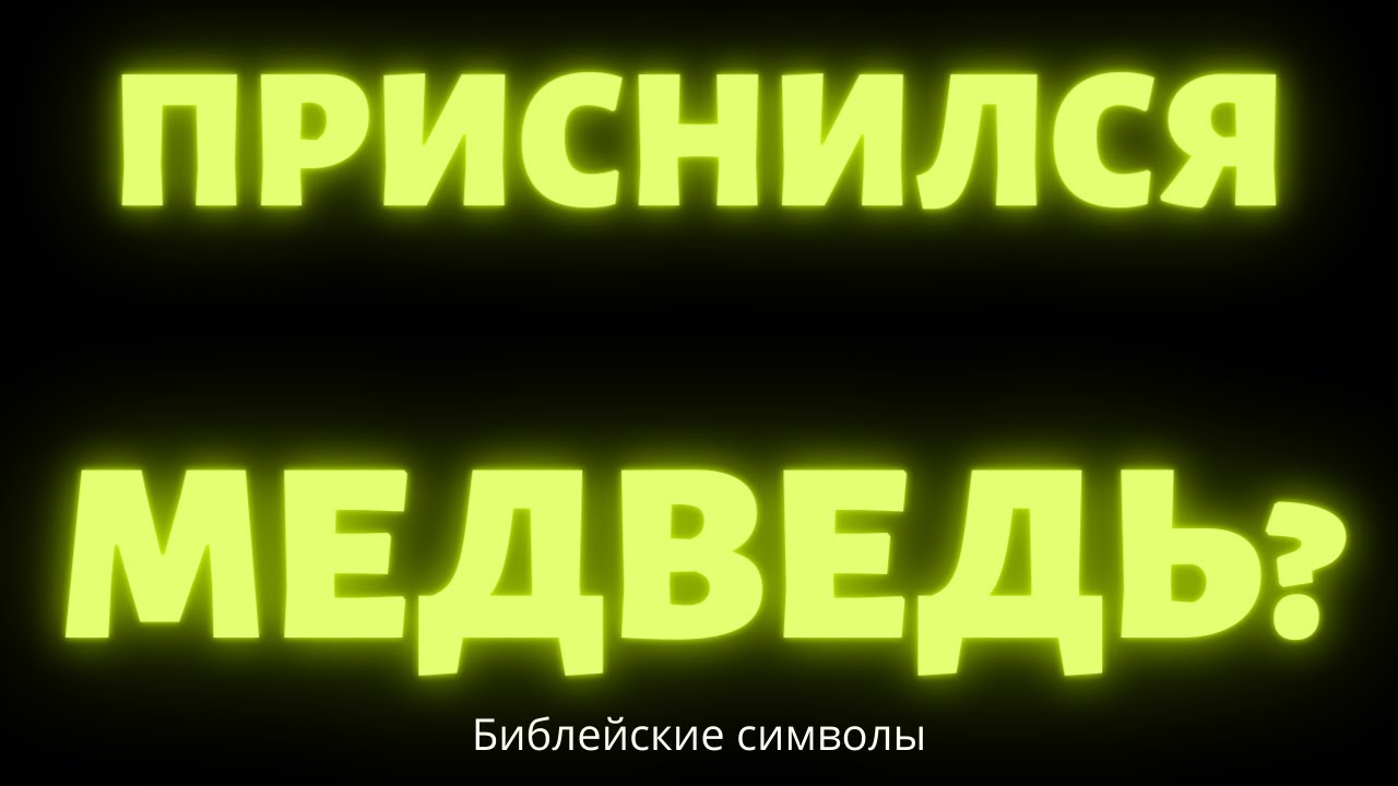 К чему снится медведь незамужней девушке, замужней женщине, мужчине: толкование сонниками, если видеть медведя во сне