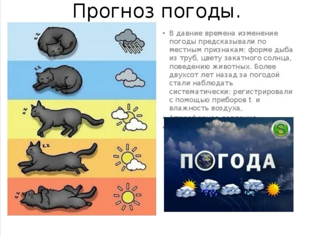 Предсказание погоды по народным приметам. пословицы и поговорки