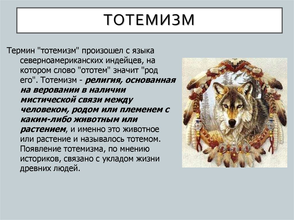 Тотемизм — определение, история и особенности понятия. тотемизм это в истории. - uhistory.ru
