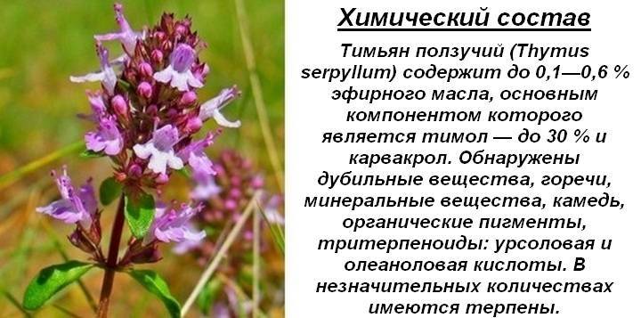 Как влияет чай на потенцию у мужчин и какой сорт будет более полезен? — med-anketa.ru