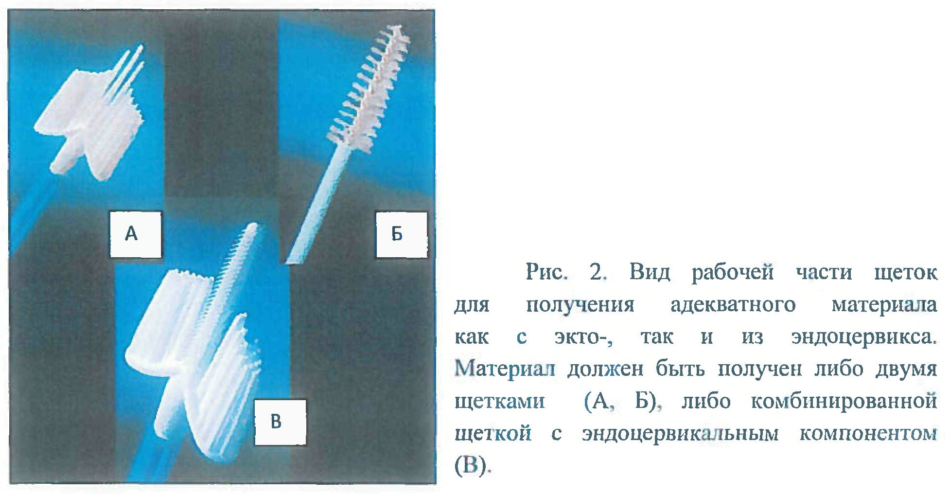 Клинические виды исследований, проводимые в клинико-диагностической лаборатории