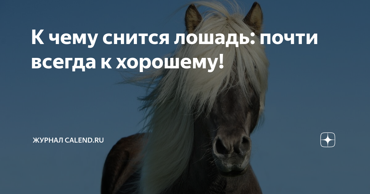 К чему снятся кони или лошади: черные, белые, коричневые, мертвые, в конюшне, спокойные, агрессивные