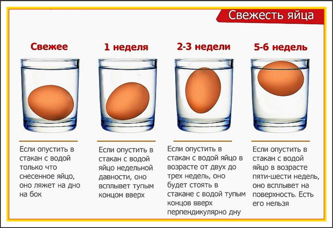 Срок годности яиц: в холодильнике, сырые и вареные куриные, сколько времени можно хранить и как правильно