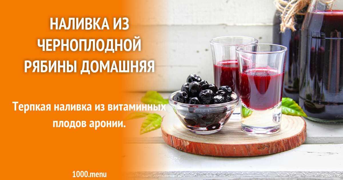 Морс из черной рябины. морс из черноплодки. рецепты приготовления лечебных средств