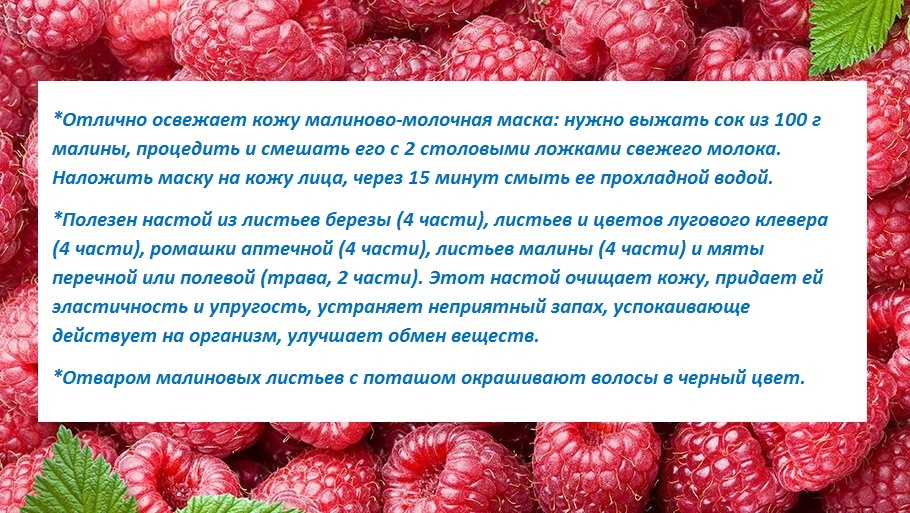 Малина: польза и вред для организма, витамины и полезные свойства