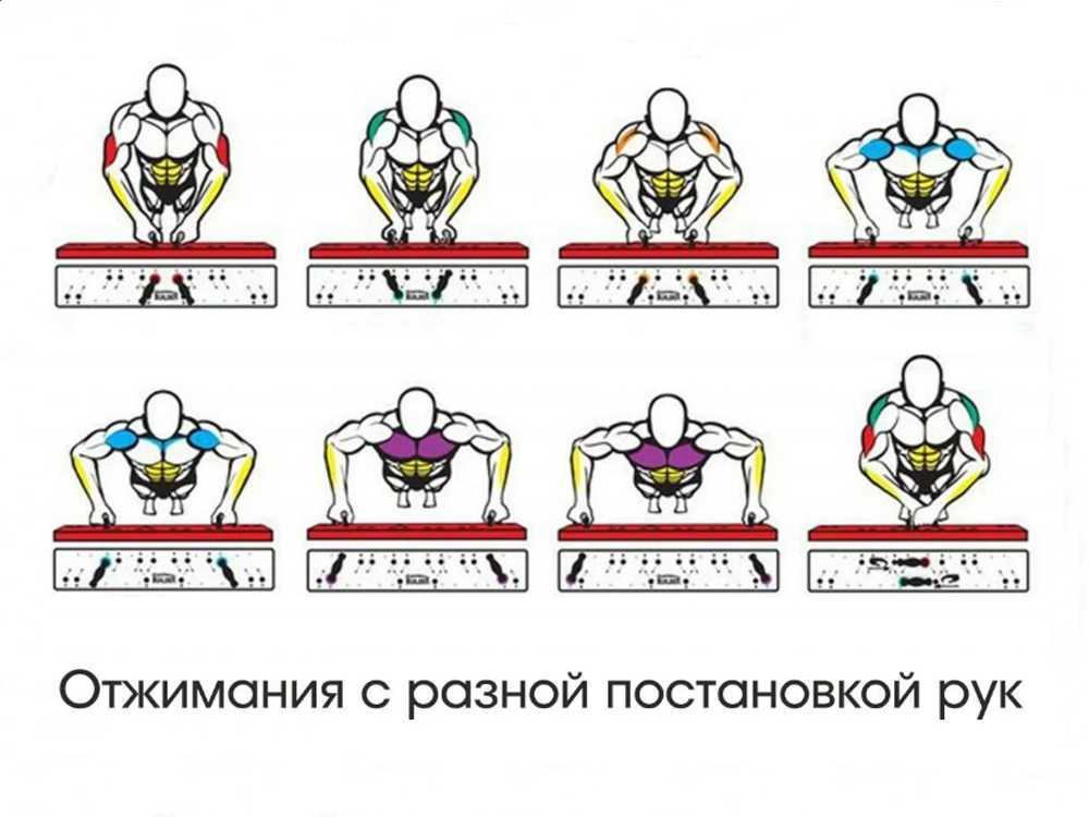 Отжимание от пола: программа тренировок, польза, виды упражнения и отзывы