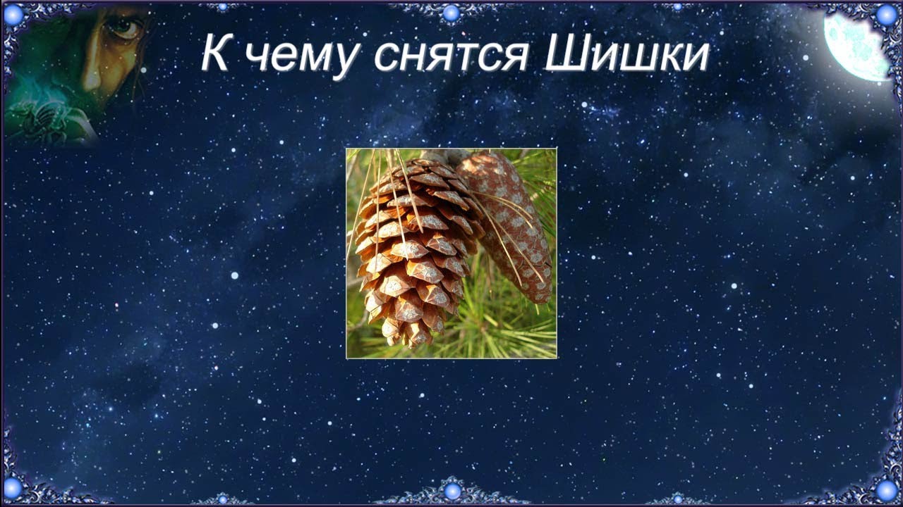 К чему снятся грибы