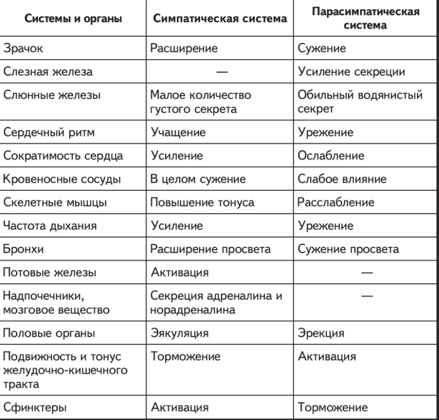 Нервная система 2.0 - умскул учебник