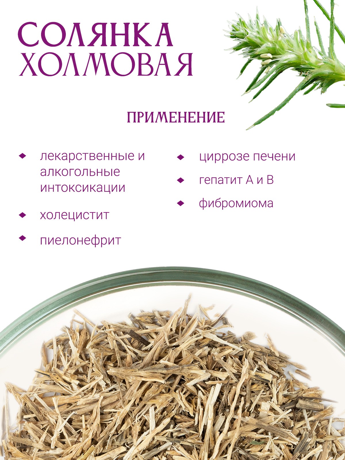 Фиточай «солянка холмовая»: инструкция по применению, описание, отзывы, применение