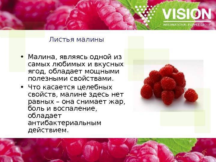 Малина: польза и вред для здоровья организма