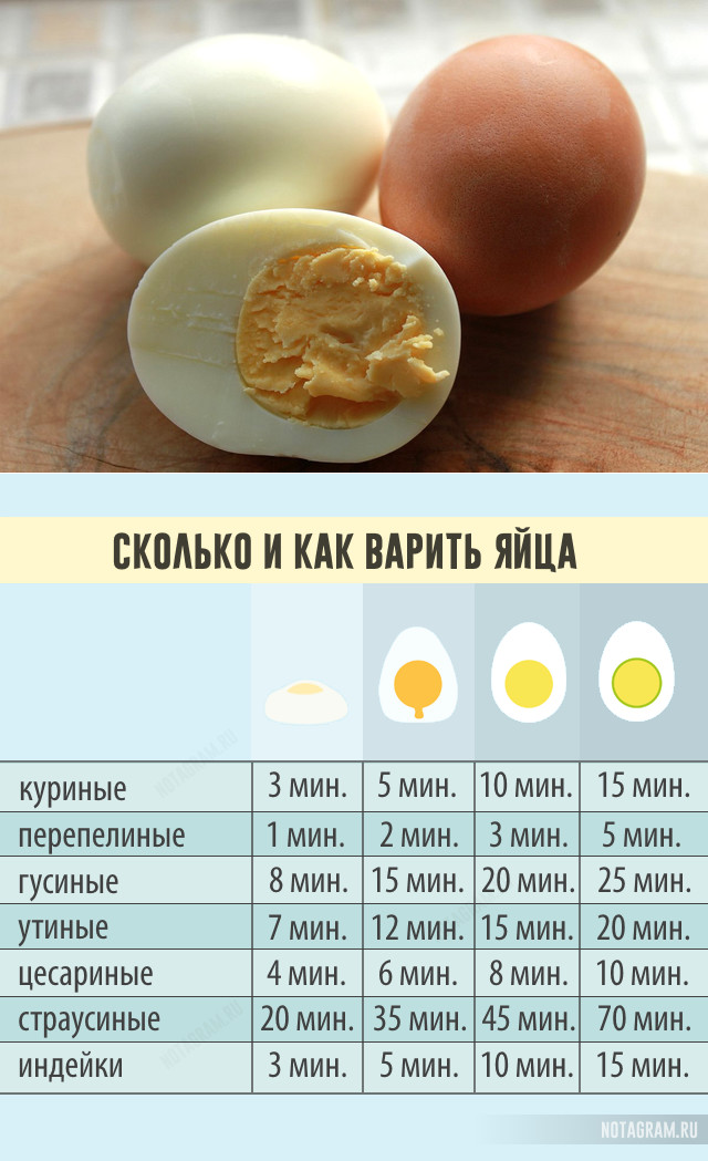 Как варить яйца (куриные и перепелиные) сколько по времени