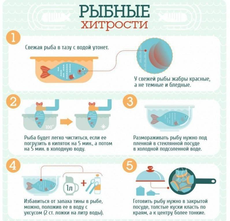 Как приготовить рыбу зубатку: вкусные рецепты на сковороде и в духовке