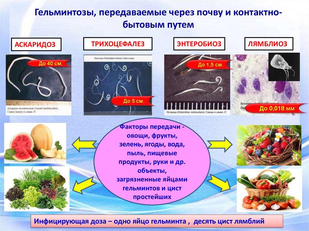 Есть можно, но осторожно: в морской рыбе есть паразиты