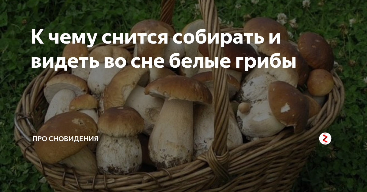 К чему снятся грибы во сне?