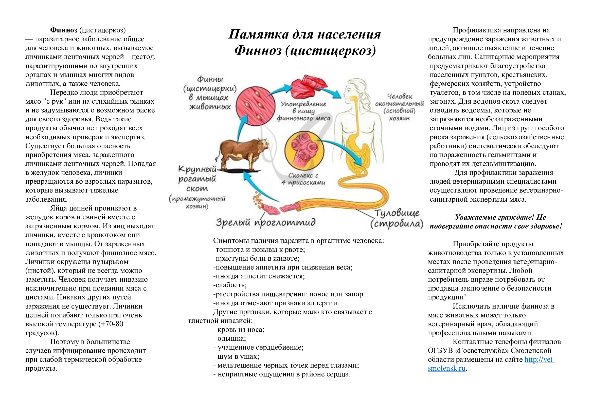 Что такое финна в мышце свиньи