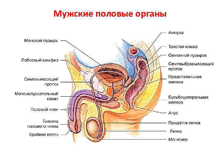 Толкование