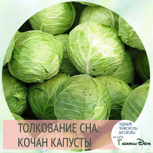 К чему снится капуста во сне?