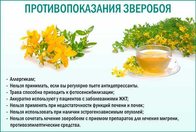 Народные средства от кашля – эффективные рецепты для детей и взрослых