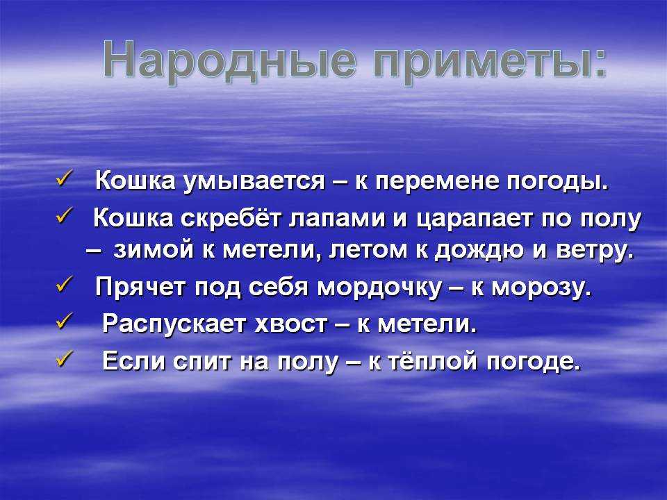Народные приметы о погоде: предсказывания поведения природы