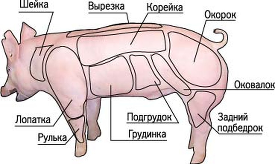 Какая часть свинины для каких блюд используется в приготовлении - omvesti.com