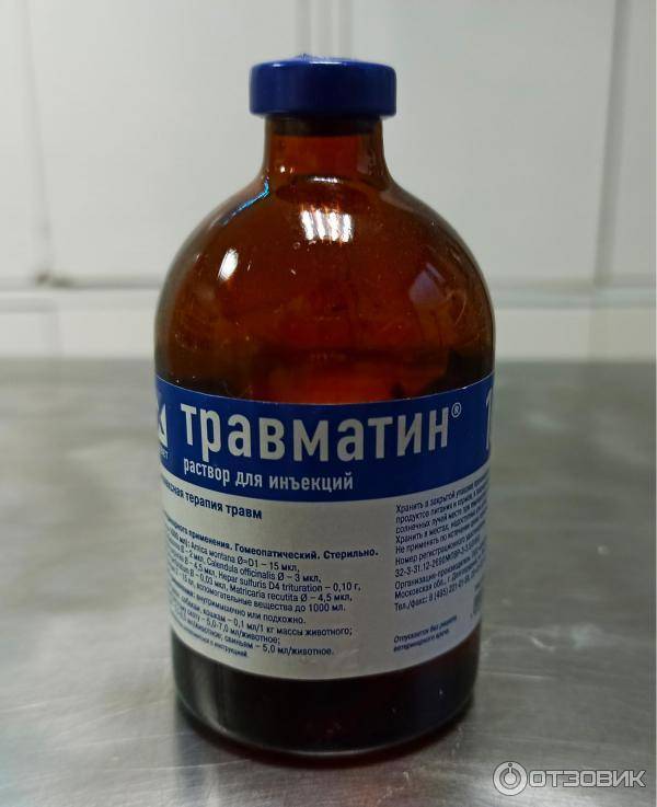 Травматин для кошек: инструкция по применению в ветеринарии, отзывы, аналоги, меры предосторожности