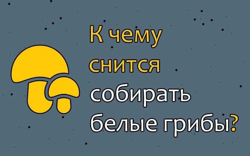 Сон про грибы на столе. грибы опята к чему снятся