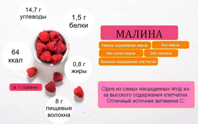 Малина - суперфуд здоровья и долголетия. в чем ее польза