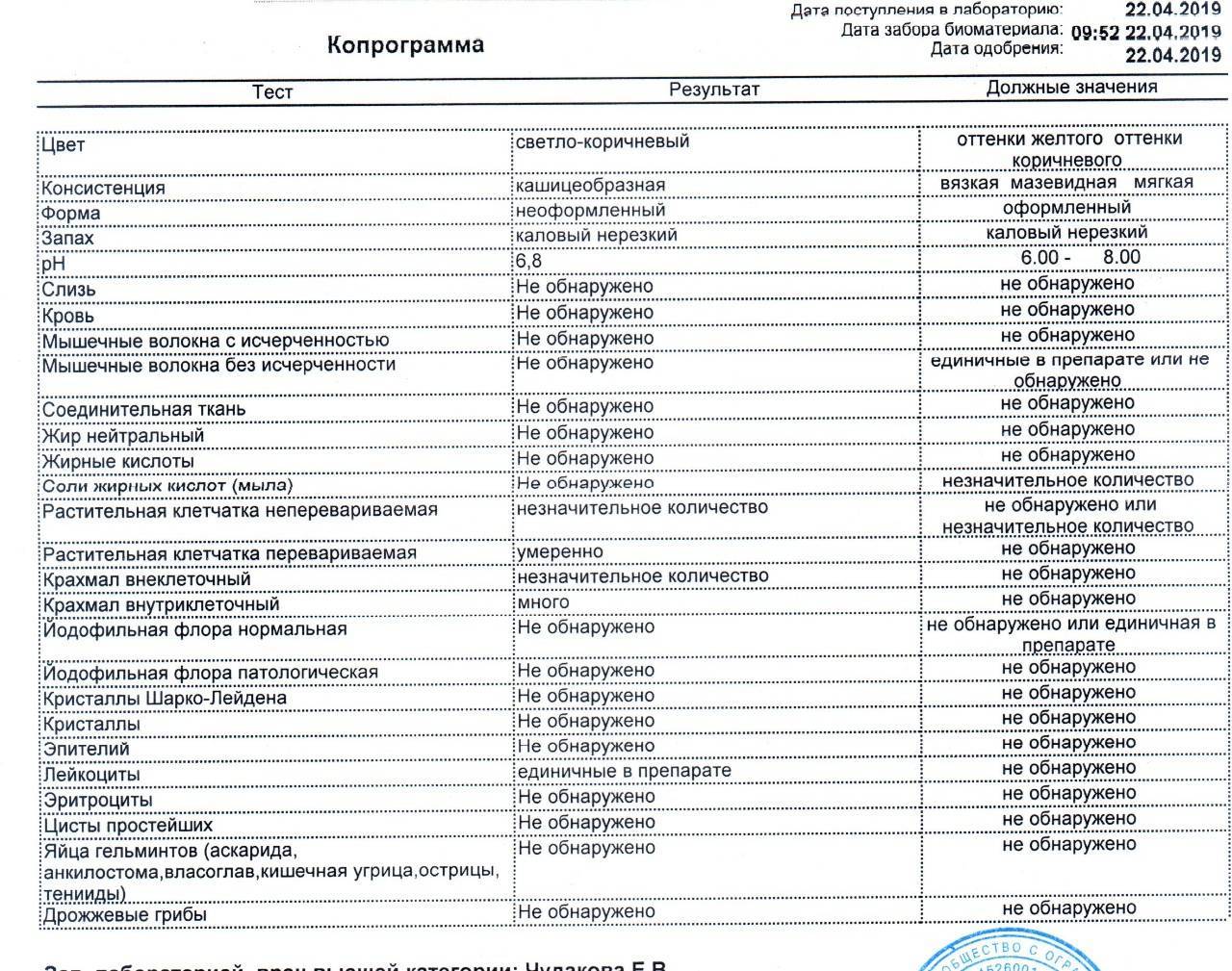 Чем меньше, тем лучше: особенности йодофильной флоры и чем она опасна