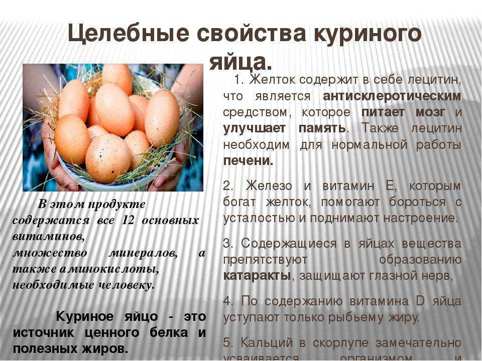 Перепелиные яйца для потенции - влияние на мужской организм, как правильно пить и отзывы