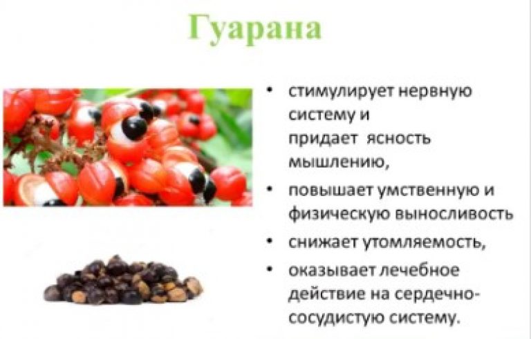 Гуарана