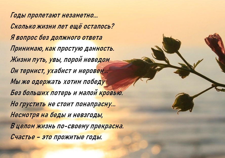 Птица залетела в дом или разбилась о лобовое стекло: что за примета