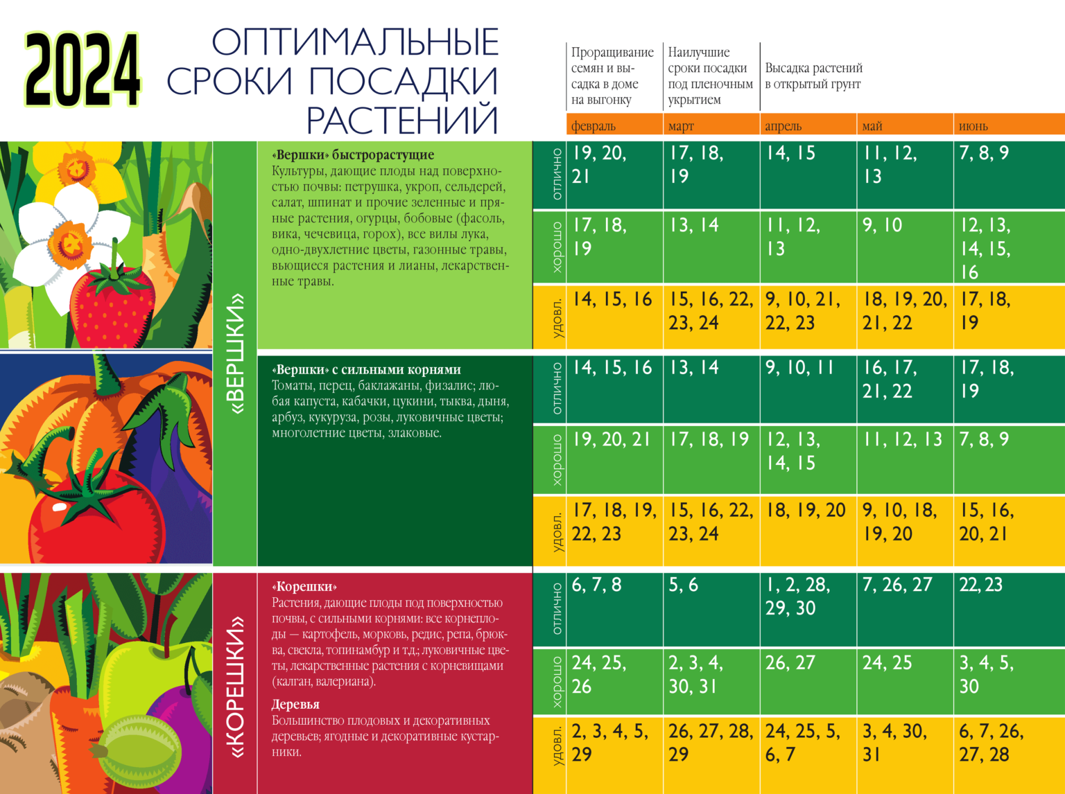Когда можно квасить, солить капусту на зиму: в какой день и месяц лучше, нюансы соленья и полезные советы