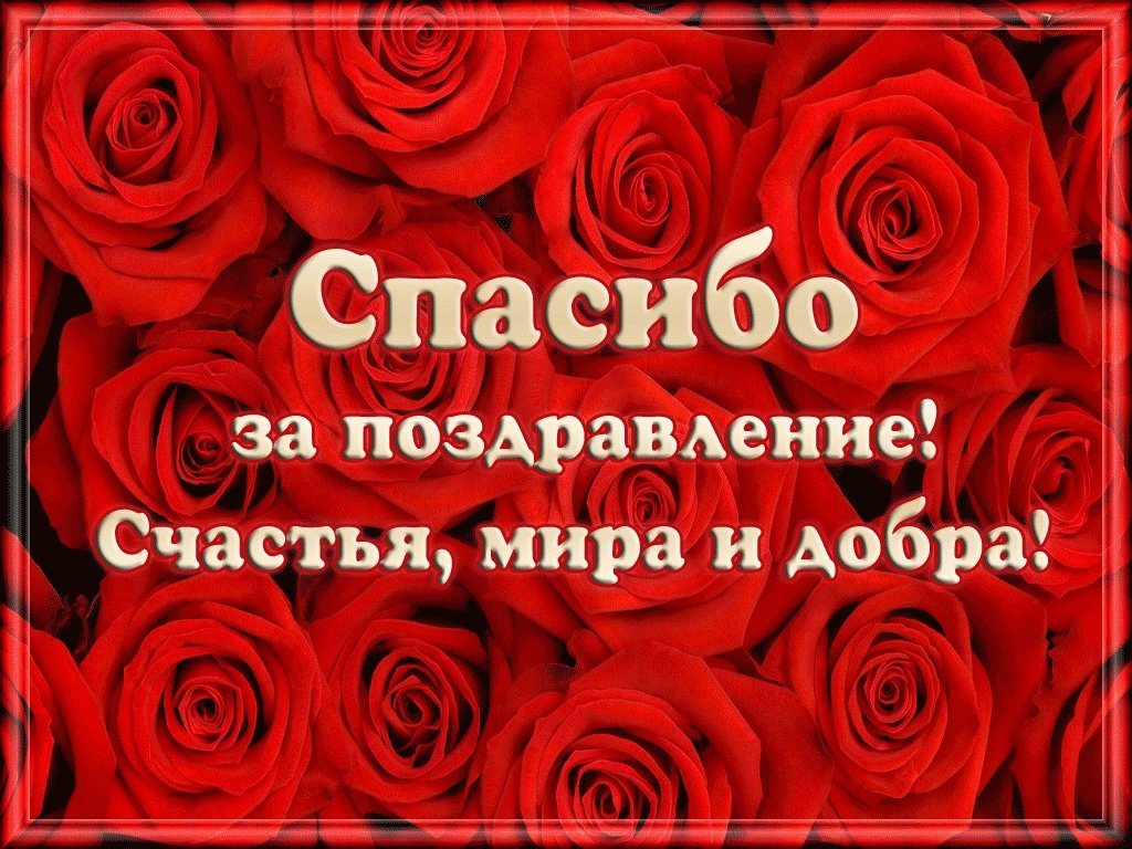 Как правильно составить слова благодарности за поздравления с днем рождения + примеры - tips people - советы людей