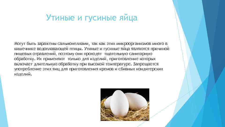 Сколько и как варить яйца — пошаговая инструкция