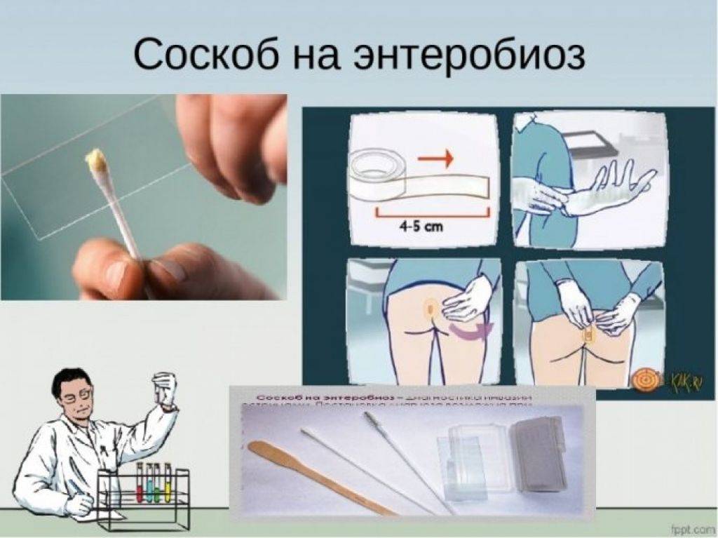 Как оформить медицинскую справку в бассейн ребенку и взрослому