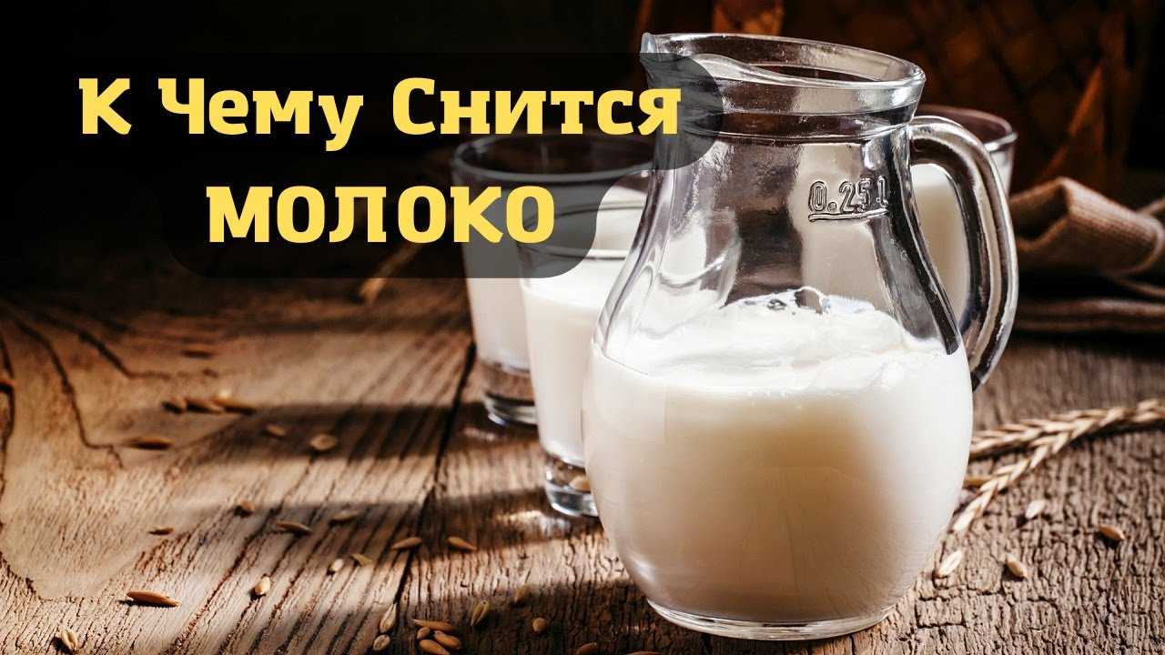 Сонник молоко к чему снится во сне? видеть молоко что означает?