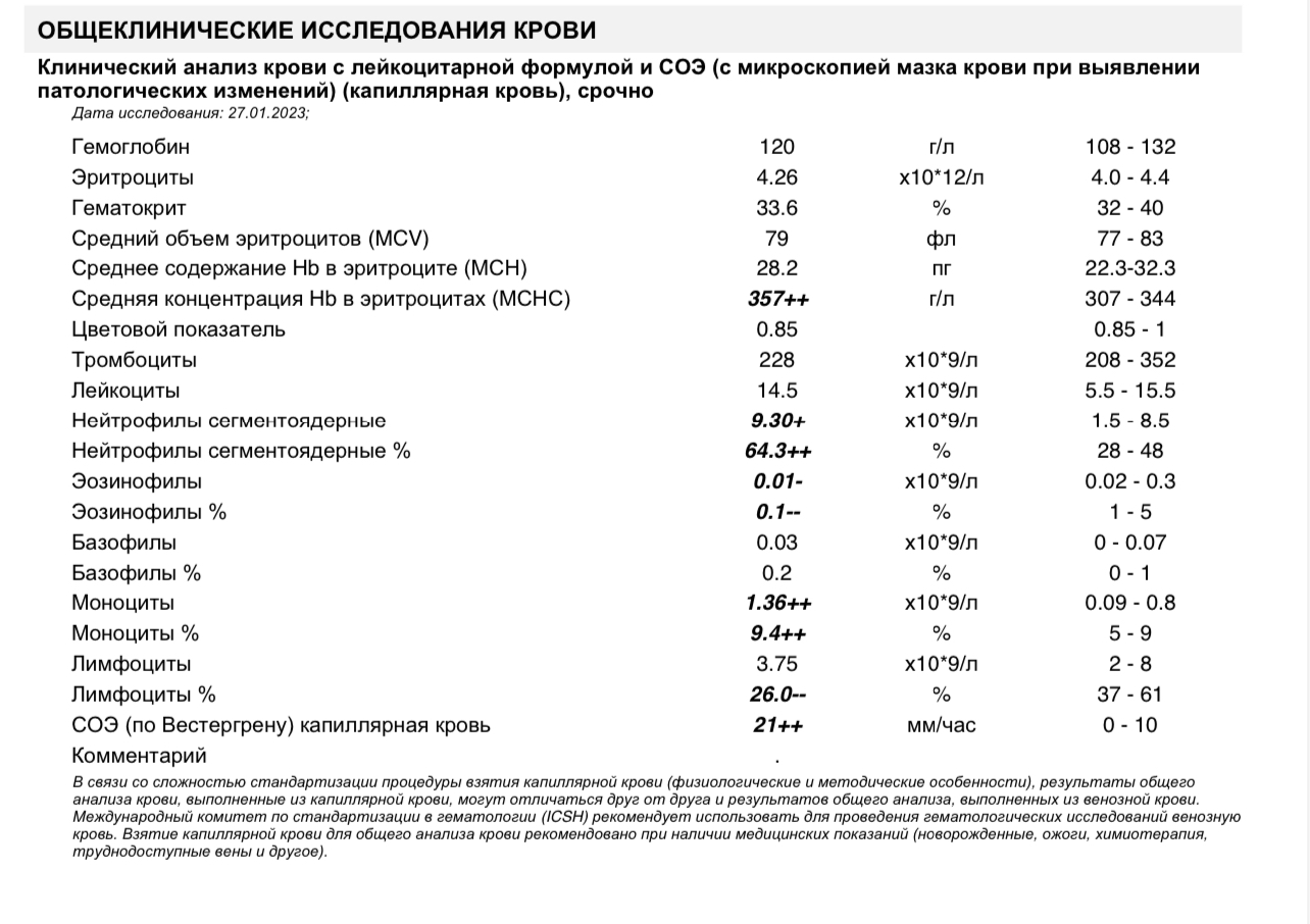 Рlt в анализе крови у ребенка. взятие анализа и оценка результатов