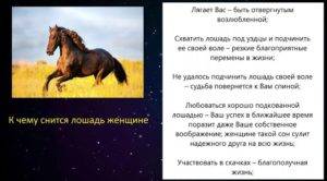 Magiachisel.ru: сонник.что означает когда снится лошадь. к чему снится лошадь. видеть это во сне.