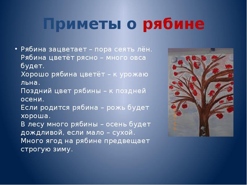 Народные приметы о погоде на каждый день