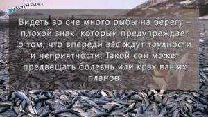 К чему снится сушеная рыба – сонник: сушеная рыба