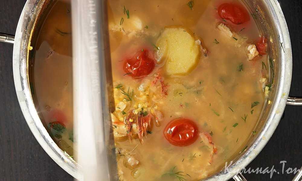 Как варить уху из щуки с пшеном - bookcooks.ru