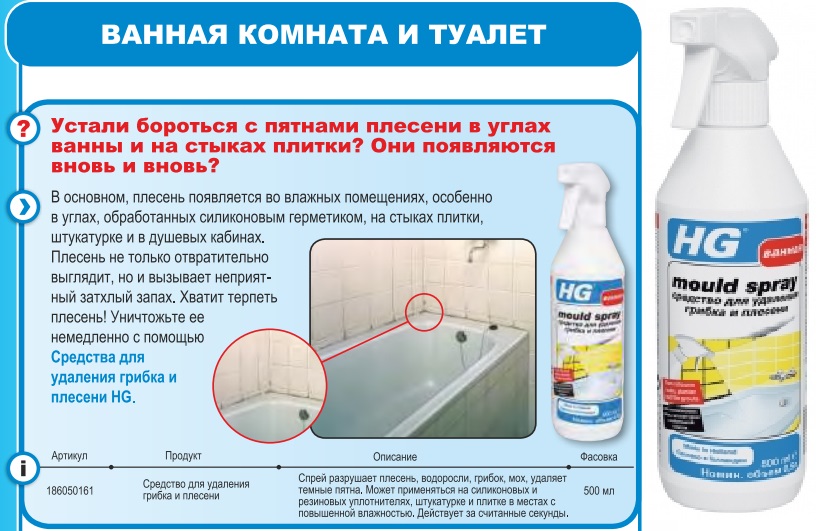Черная плесень в доме - чем опасна?