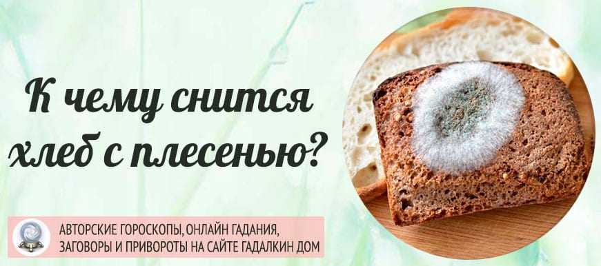 Сонник: к чему снится хлеб во сне для женщины, девушки, замужней, незамужней, беременной – толкования миллера, ванги, фрейда