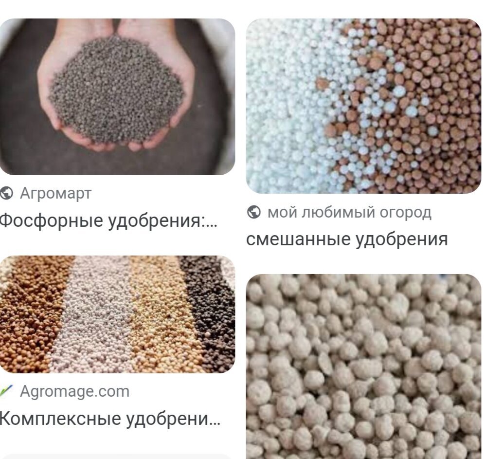 Удобрения для сада и огорода: как правильно выбрать и использовать подкормку
